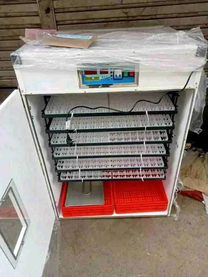 High-quality 75-egg incubator supporting both AC and DC power, suitable for hatching all types of eg