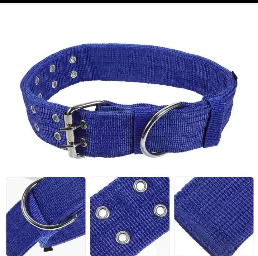 Pet collar: Its put around the neck. This is a Pets listing with clear and genuine details. Availabl