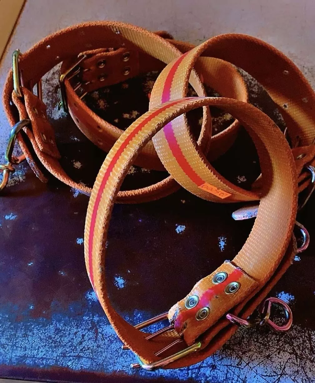 Dog collar: Put around the neck. This is a Pets listing with clear and genuine details. Available in