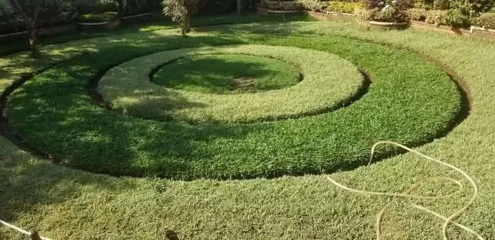 Compound Designing and landscaping: We do compound designing both naturally (planting grass, flowers