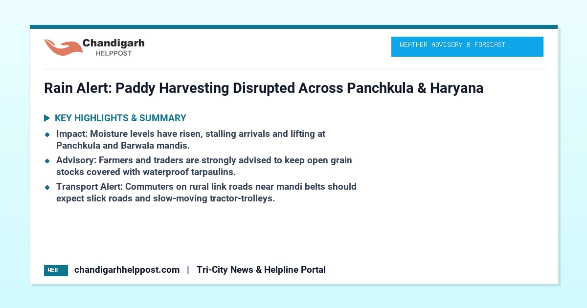 Rain Alert: Paddy Harvesting Disrupted Across Panc...